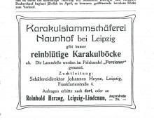 Bildinhalt: Werbeanzeige der Fa. Reinhold Herzog, Angerstrae 26, Leipzig-Lindenau