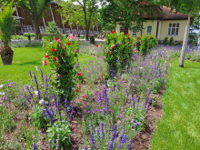 Bildinhalt: Landesgartenschau in Bad Drrenberg